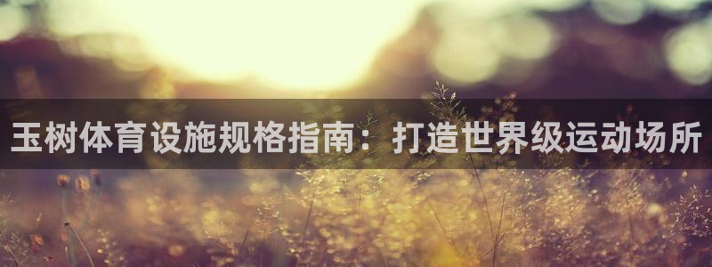 意昂体育3平台假的吗是真的吗：玉树体育设施规格指南：