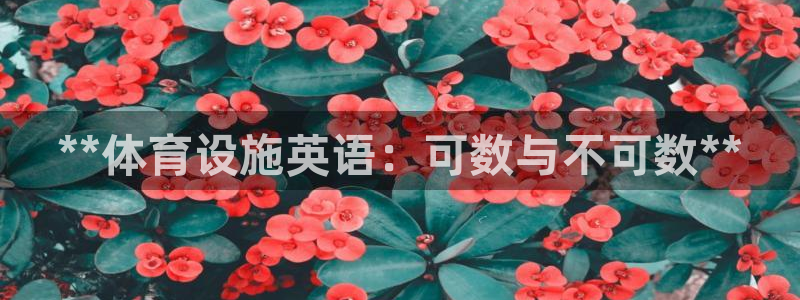 意昂体育3平台是正规平台吗安全吗：**体育设施英语：