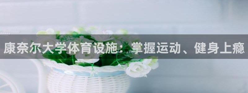 意昂3官网：康奈尔大学体育设施：掌握运动、健身上瘾