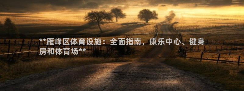意昂3集团官网网址：**雁峰区体育设施：全面指南，康