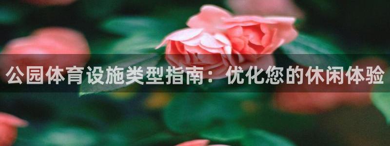 意昂体育3招商电话是多少：公园体育设施类型指南：优化