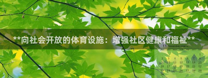 意昂3娱乐40996：**向社会开放的体育设施：增强