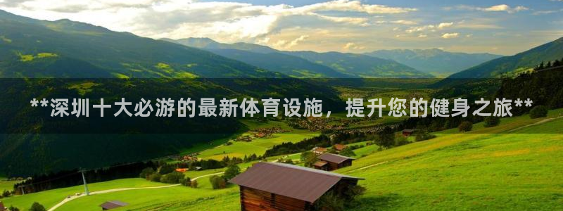 意昂体育3软件：**深圳十大必游的最新体育设施，提升