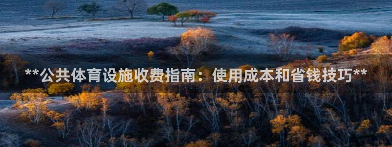 意昂体育3开户：**公共体育设施收费指南：使用成本和