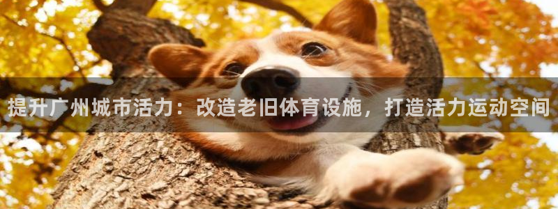 意昂3娱乐：提升广州城市活力：改造老旧体育设施，打造