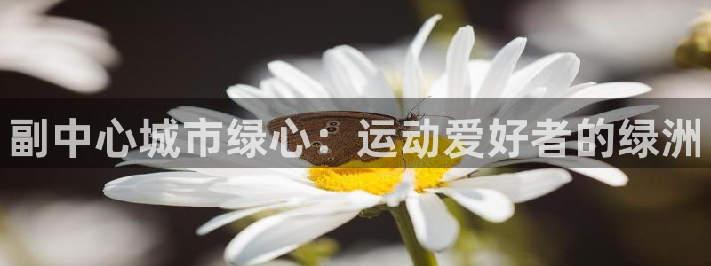 意昂体育3招商电话号码查询是多少：副中心城市绿心：运