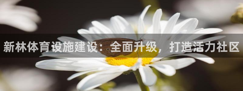 意昂3娱乐首页网站大全：新林体育设施建设：全面升级，