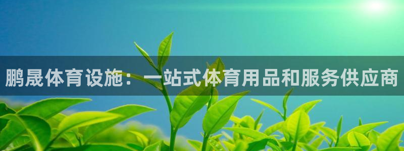 意昂3开户：鹏晟体育设施：一站式体育用品和服务供应商