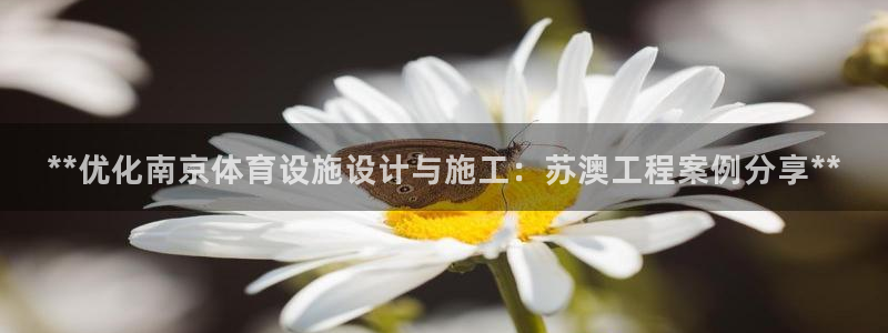意昂体育3平台注册：**优化南京体育设施设计与施工：