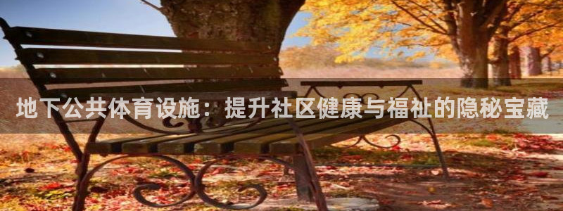 意昂3娱乐40996：地下公共体育设施：提升社区健康