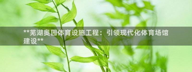 意昂体育3平台注册：**芜湖奥园体育设施工程：引领现