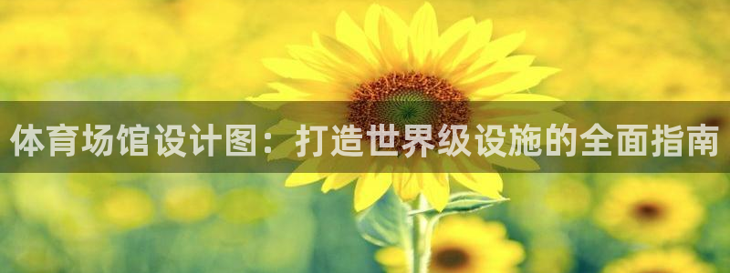 意昂集团官网：体育场馆设计图：打造世界级设施的全面指