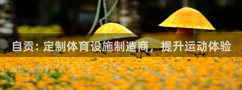 意昂3娱乐40996：自贡: 定制体育设施制造商，提