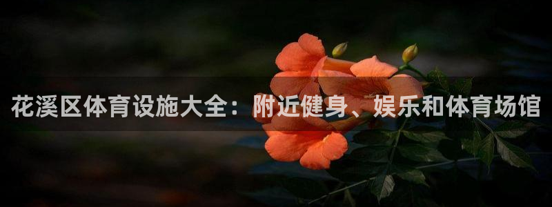 意昂体育3平台假的吗是真的吗：花溪区体育设施大全：附