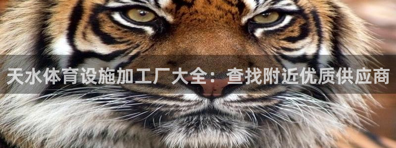 意昂体育3平台：天水体育设施加工厂大全：查找附近优质