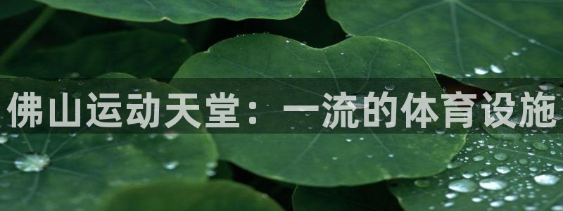 意昂体育3招商：佛山运动天堂：一流的体育设施