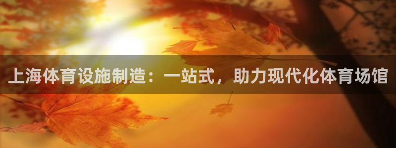 意昂体育3开户：上海体育设施制造：一站式，助力现代化