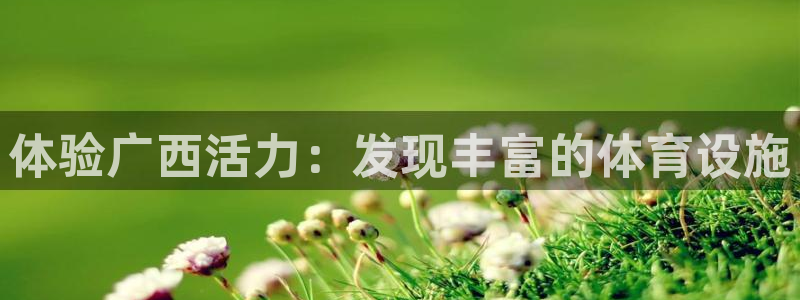 德国意昂3集团：体验广西活力：发现丰富的体育设施