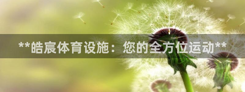 意昂3集团E.ON