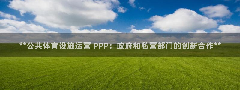 意昂3集团logo：**公共体育设施运营 PPP：政