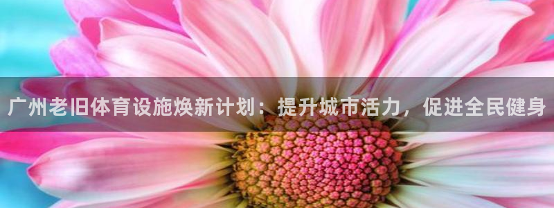 意昂3神州：广州老旧体育设施焕新计划：提升城市活力，