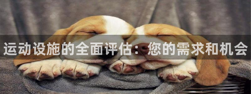 意昂3集团logo：运动设施的全面评估：您的需求和机