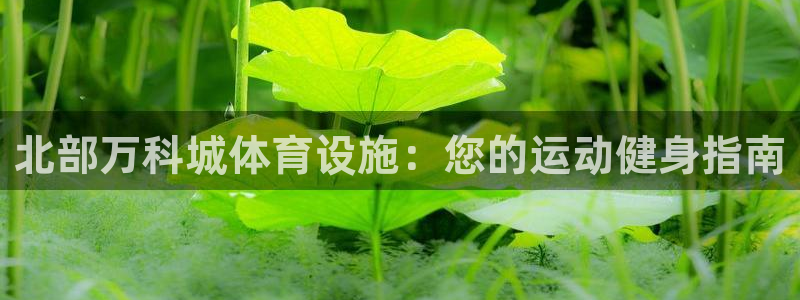 意昂3代理：北部万科城体育设施：您的运动健身指南
