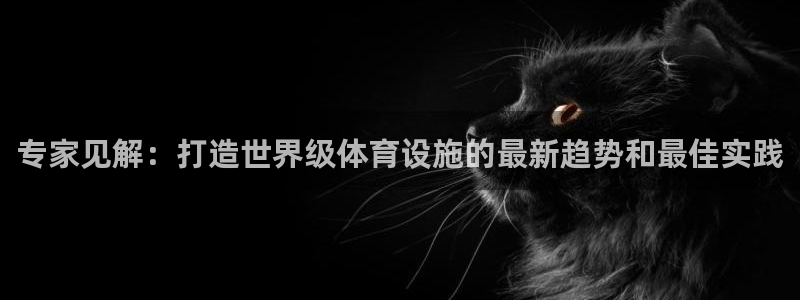 意昂体育3官方客服电话：专家见解：打造世界级体育设施