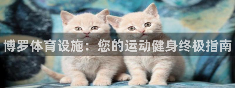 意昂体育3平台是正规平台吗知乎：博罗体育设施：您的运
