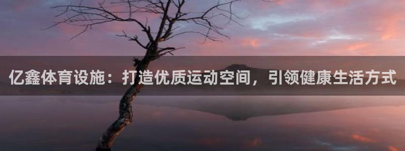 意昂3集团简介：亿鑫体育设施：打造优质运动空间，引领
