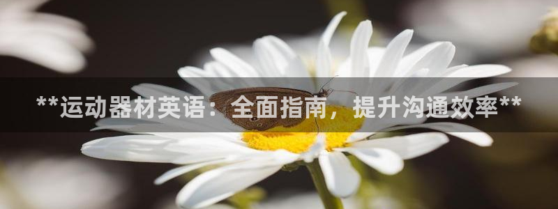 意昂平台体育：**运动器材英语：全面指南，提升沟通效