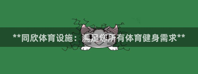 德国意昂3集团：**同欣体育设施：满足您所有体育健身