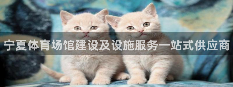 意昂3集团：宁夏体育场馆建设及设施服务一站式供应商