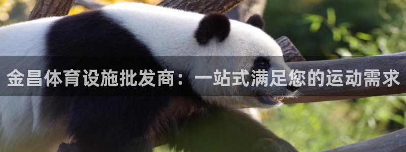 意昂体育3招商电话号码查询是多少：金昌体育设施批发商