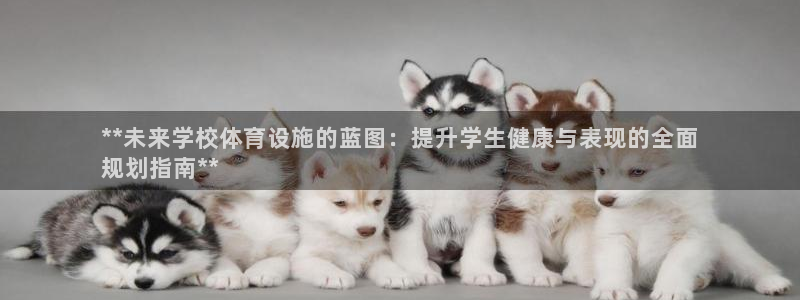 意昂3娱乐平台：**未来学校体育设施的蓝图：提升学生