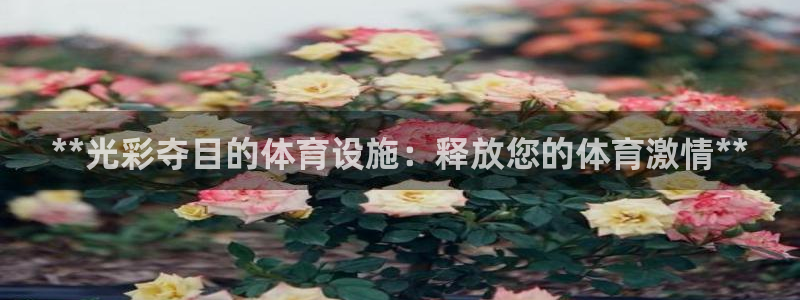意昂3集团E.ON：**光彩夺目的体育设施：释放您的