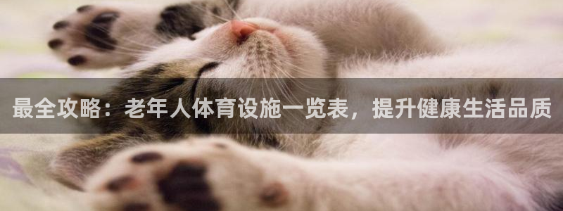 意昂体育3：最全攻略：老年人体育设施一览表，提升健康