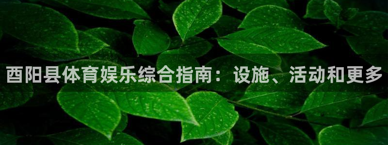 意昂平台体育：酉阳县体育娱乐综合指南：设施、活动和更