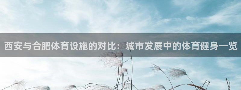 意昂3娱乐下载：西安与合肥体育设施的对比：城市发展中