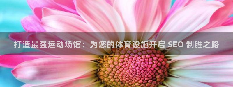 意昂体育3招商电话号码查询：打造最强运动场馆：为您的