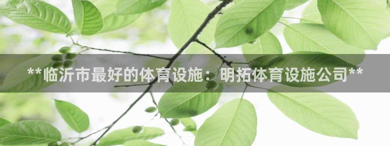 意昂体育3平台注册要钱吗：**临沂市最好的体育设施：