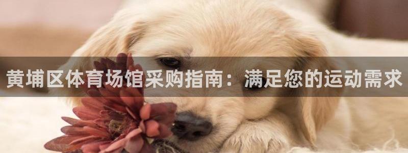 意昂3娱乐首页官网下载：黄埔区体育场馆采购指南：满足