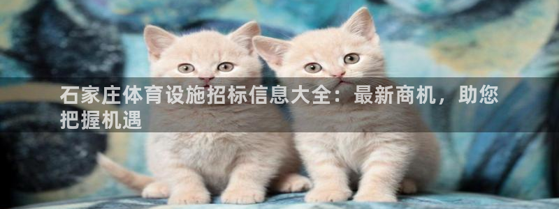 意昂3娱乐平台：石家庄体育设施招标信息大全：最新商机