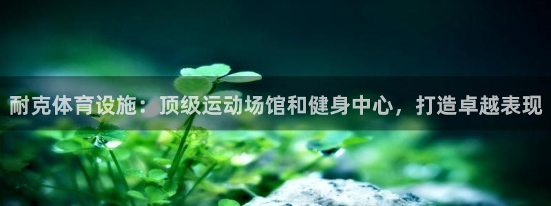 意昂体育3招商电话号码是多少：耐克体育设施：顶级运动