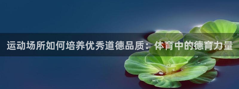 意昂体育3招商电话号码查询是多少
