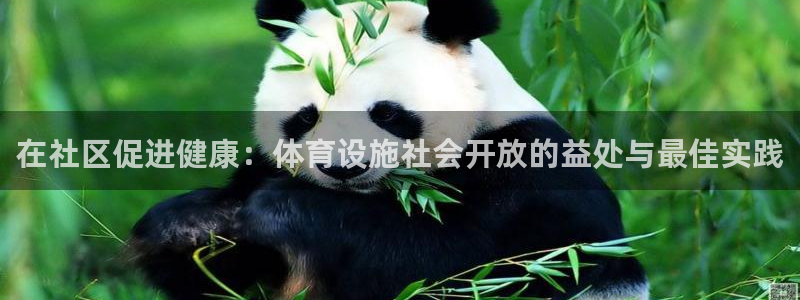 意昂体育3招商电话号码是多少号：在社区促进健康：体育设施社会