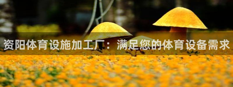 意昂体育3软件：资阳体育设施加工厂：满足您的体育设备