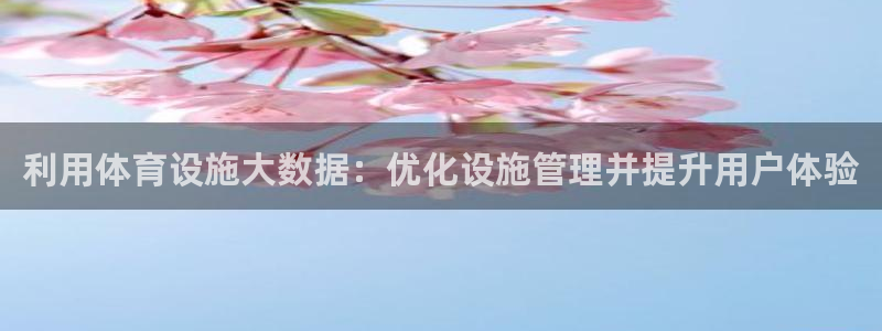 意昂体育3平台假的吗是真的吗：利用体育设施大数据：优