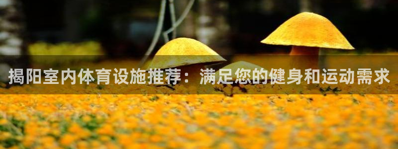 意昂3娱乐是那个系列的台子：揭阳室内体育设施推荐：满