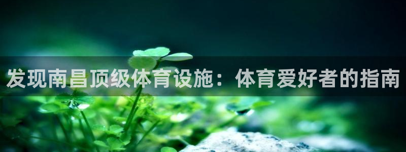 意昂3娱乐是那个系列的台子：发现南昌顶级体育设施：体育爱好者